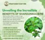 Benefits of Shardunika 90x80