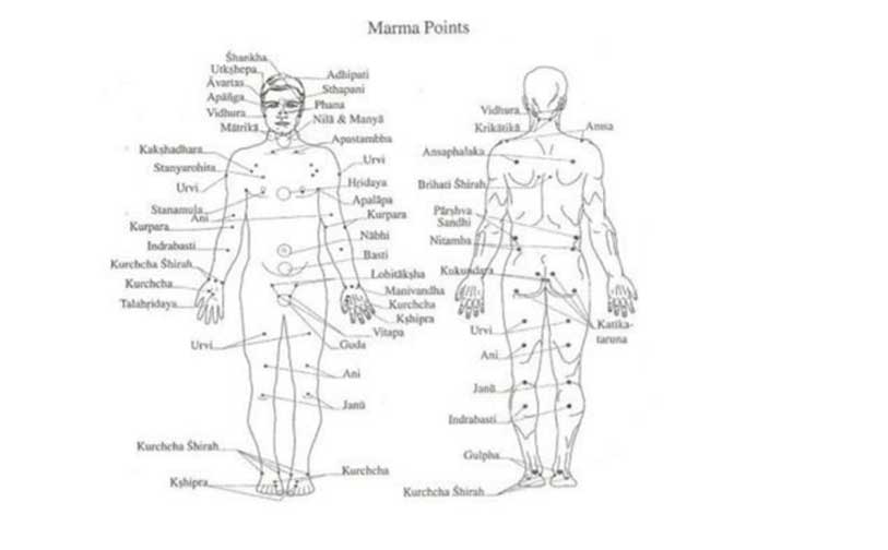 Diagram showing the location of Marma points on the human body. The points are marked across both the front and back view, highlighting key areas used in Marma massage for therapeutic purposes.
