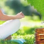 Ayurvedic Yoga: A Holistic Path to Balance, Healing, and Transformation at Dhanwantari Ayurvedic Detox Center, Tiruvannamalai, India