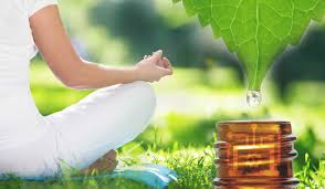 Ayurvedic Yoga: A Holistic Path to Balance, Healing, and Transformation at Dhanwantari Ayurvedic Detox Center, Tiruvannamalai, India