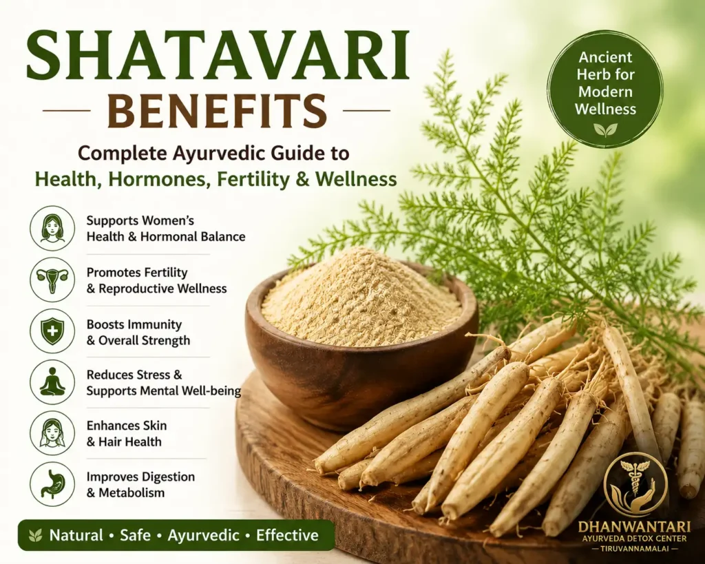 Ayurvedic Shatavari benefits infographic poster showing powdered shatavari and roots on wooden bowl, with green herbal background and text highlighting benefits for women’s health, fertility, immunity, skin, hair, and menopause